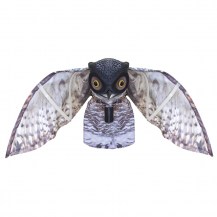 18409 - prowling owl